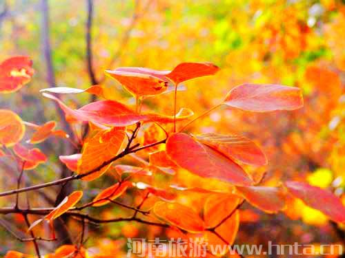 ����(j��)���� ���`կ �t�~