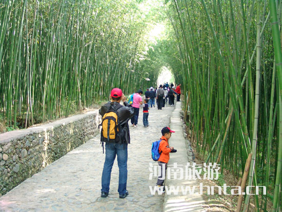 �G���L(f��ng)��@ ����(j��)����