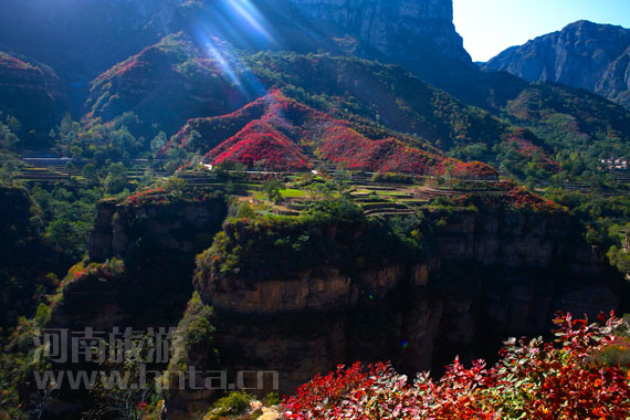 ̫����ɫ�zӰ