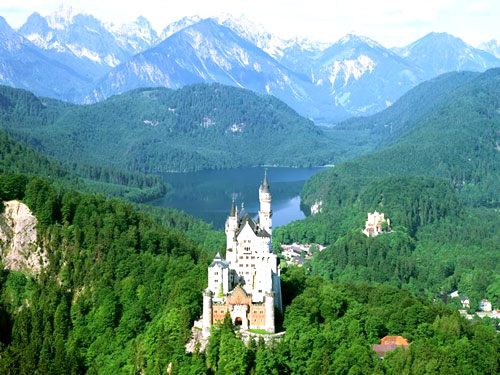 �����Z�� �{�� ���� ��ɫ �箋