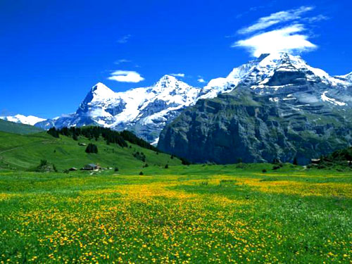 Ӣ�� С�(zh��n) ���� Ӣ�� ���e ����