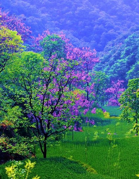 ���Ͼ��^(q��)�DƬ