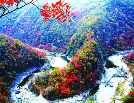 ��� ƪ Ԋ���� �u��ɽ ë���