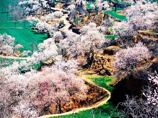 ����ɽ�w���{���^(q��)