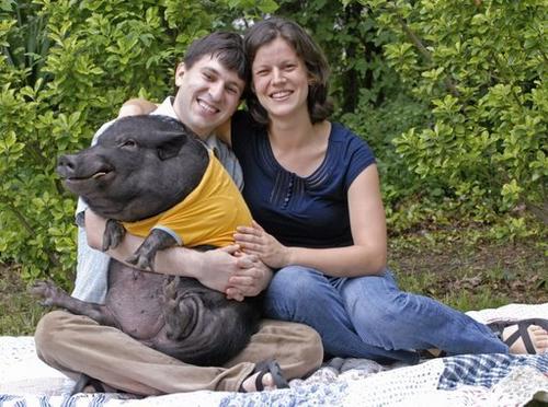 ����������Ҋ�������˵ļ�ͥ����