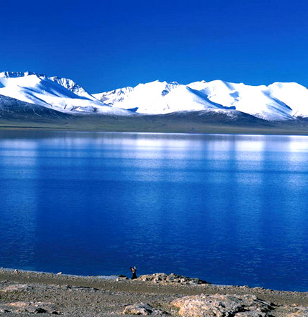 �{ľ�� ӛ�� ��һ�� ���˵ĜI