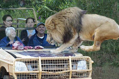 ���� ��(d��ng)��@ �˪{ ������ �挦(du��)�� 