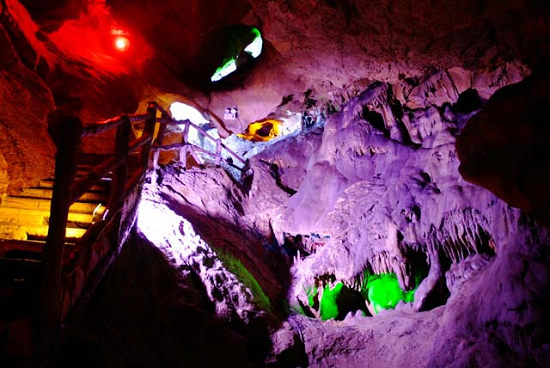 ��ţ���º�