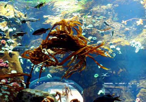 ���^ˮ���^