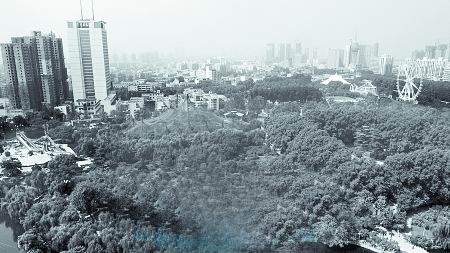 ���� ���񹫈@