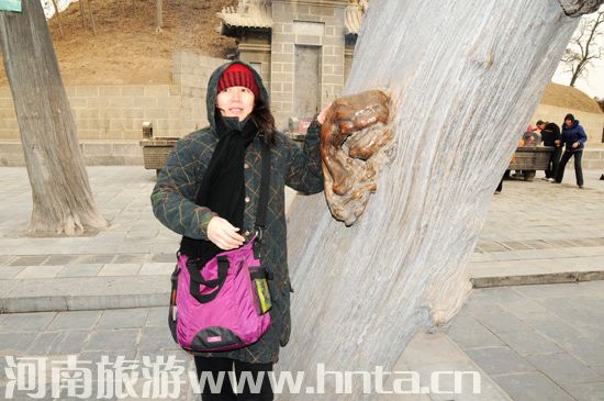 ������ԭ���ο� ̫���