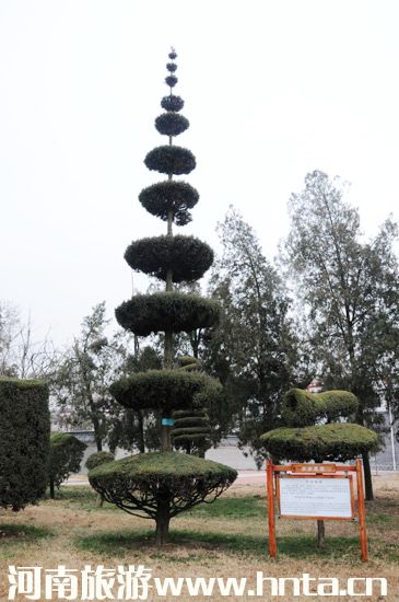 ������ԭ���ο� ̫���