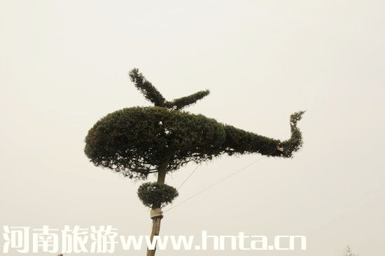 ������ԭ���ο� ̫���