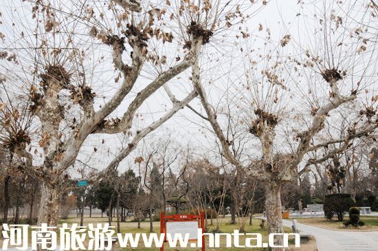 ������ԭ���ο� ̫���