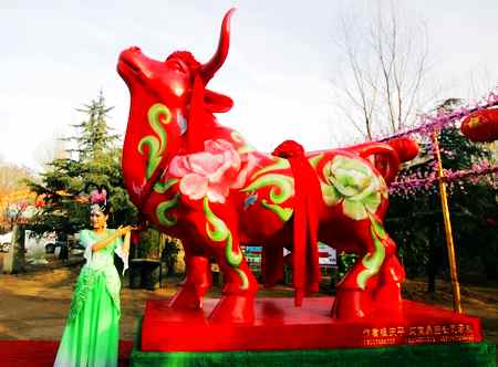 ����ɭ�ֹ��@ţ���̶��R��(hu��)