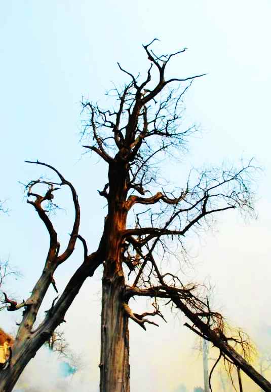 ��ꖿh̫�����¶��R��(hu��)