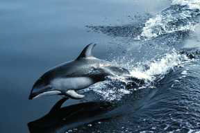 ȫ�� ���ܚgӭ ���·��� ���а� ���ô�