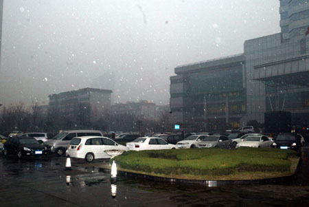 ������ѩ