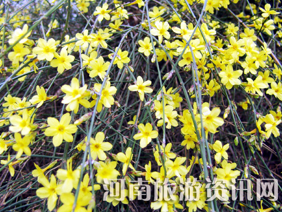 �׾��� ��ӭ����ٛ(z��ng)������ ������ ���Gɽ���@ ӭ����