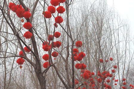 ���׏R��(hu��)  ���\