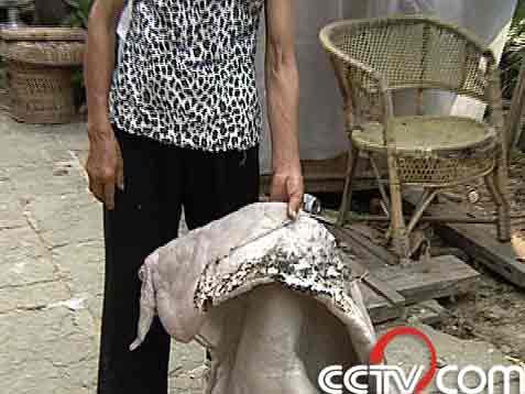 走近科學欄目 本期內容 追蹤無名火 上集