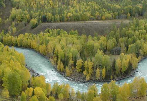 ð�U(xi��n)�� ʥ�� ���{˹ԭʼ�؎� ð�U(xi��n)ָ��(sh��) 