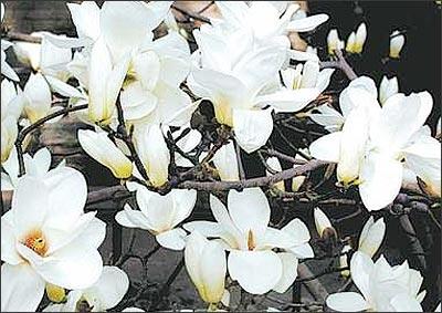 ���]���������������m���ʼ҈@���U�͈@����