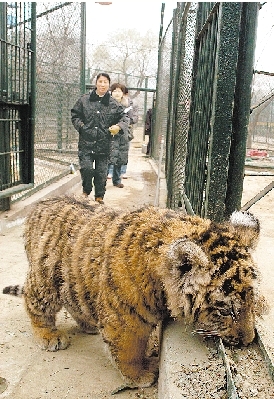 �����Є��С�ϻ����ο͡�����