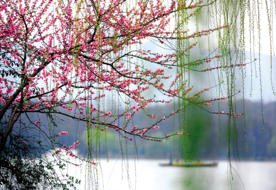 �������� ��Ԋ