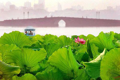 �������� �ɻ�