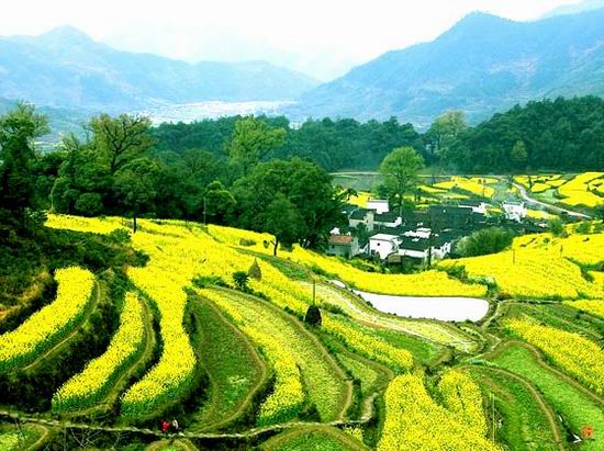 С�Y���ε� ��Դ