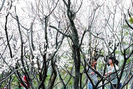 �G�����ݡ��t�~��ӡ�÷�����m��