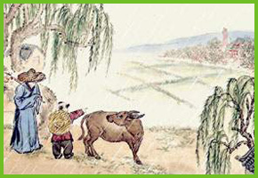 ��(ji��)�⡡��(ji��)�ա���������ʳ����Դ���L(f��ng)��