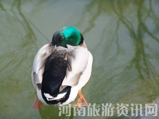 ����ˮů ��� �Ϟ��� ��