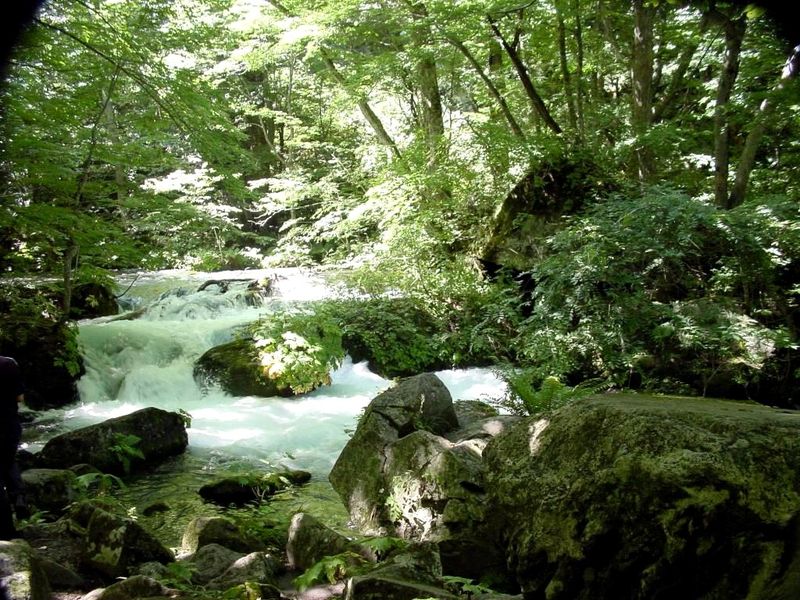 Ȫˮ����ˮ����ֱ����á�̎��������á�����ˮ������