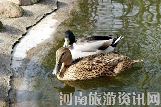 ����ˮů ��� �Ϟ��� ��