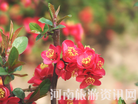 ֦�g�¾Gһ���� С�����?c��i)?sh��)�c(di��n)�t ��(��i)ϧ����Ī�p�� �ҽ������[���L(f��ng) ���Ļ� ������ ���Gɽ���@