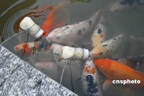 �\�� ����