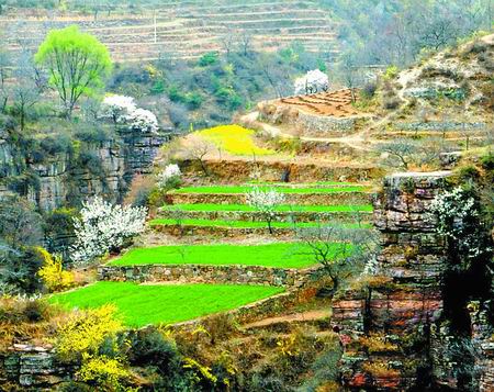 �f��ɽ  �����Ļ���(ji��)