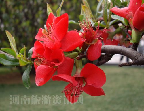 ��α��p���Ļ�