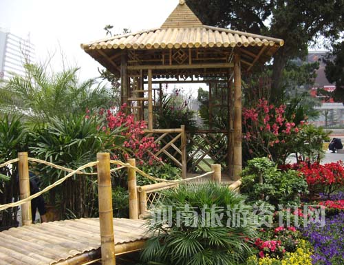 ���G��չ�����ӽ��ɵ�ͤ�_(t��i)���w