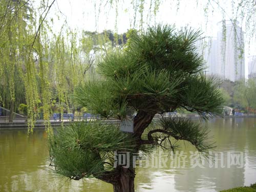 ���G��չ��һ������������