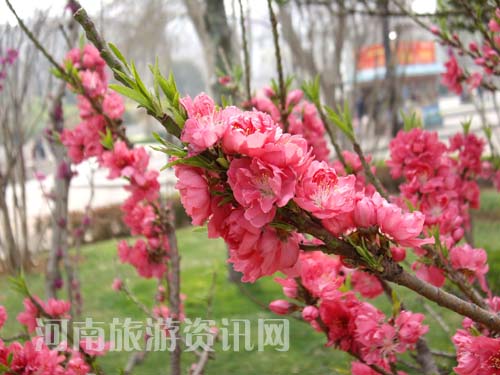 ���G���_��ͬ�r(sh��)���һ�Ҳ��֦�^��ï��