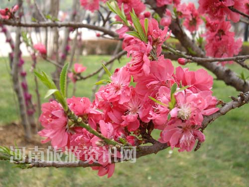 ���G���_��ͬ�r(sh��)���һ�Ҳ��֦�^��ï��