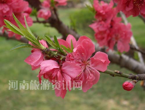 ���G���_��ͬ�r(sh��)���һ�Ҳ��֦�^��ï��