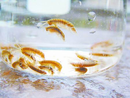 ���(y��ng)�ſ��� �߲��x���r