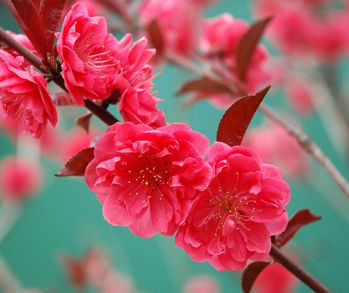 ���� �һ�