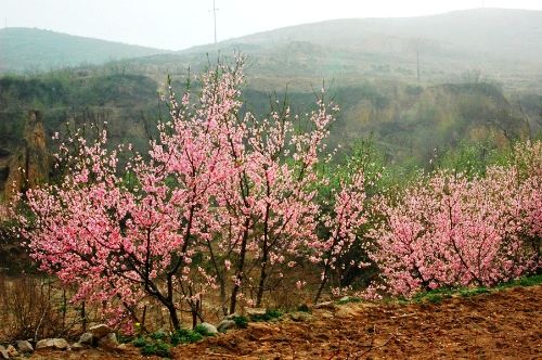 ���� �һ� �һ��� 