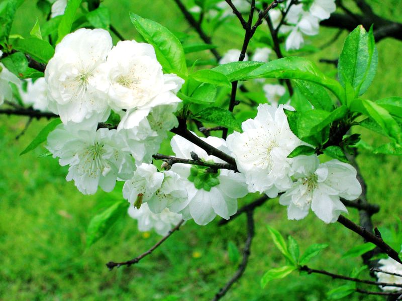 ���� �һ�