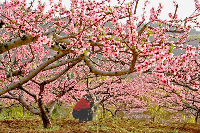 ����  �һ� ��ָɽ